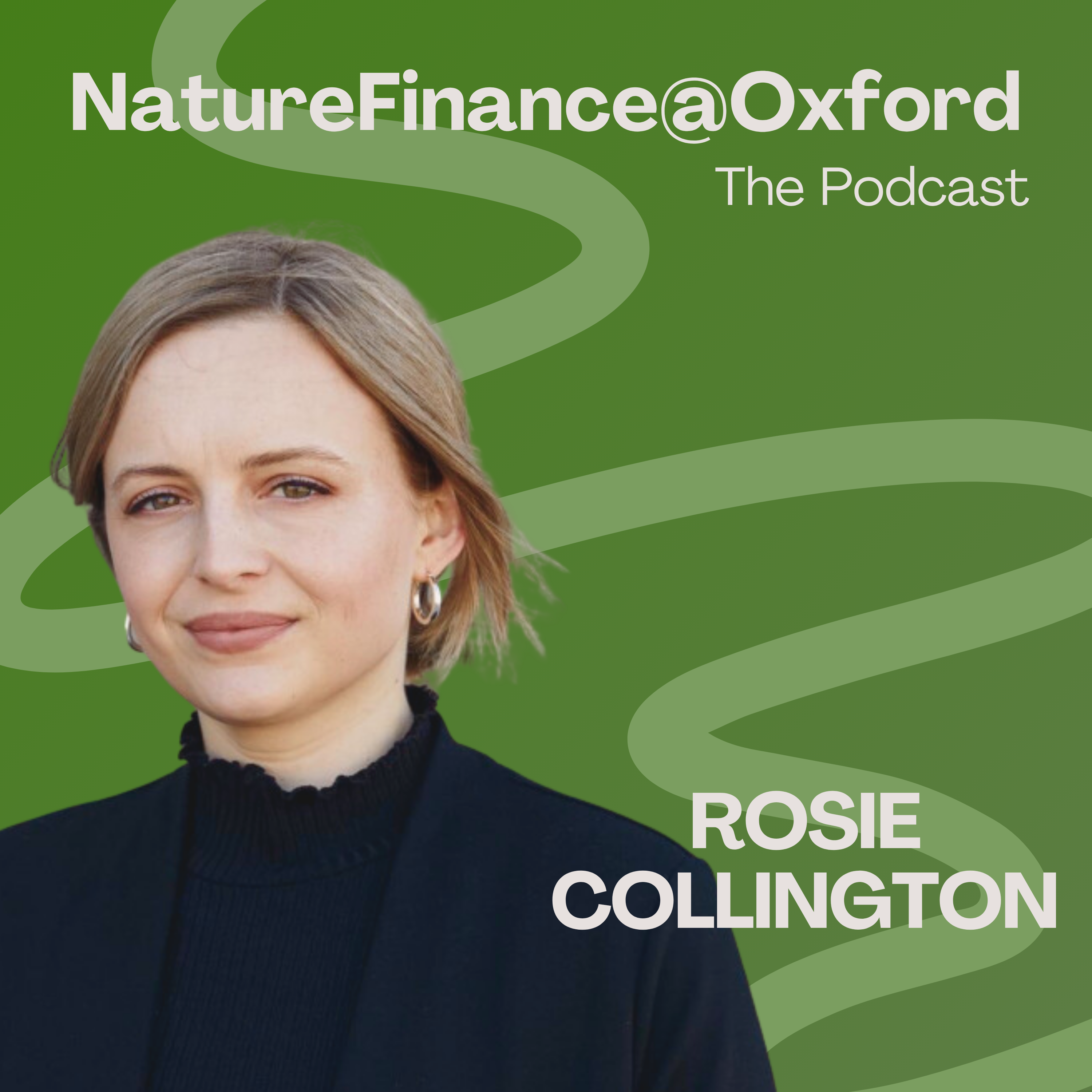 Rosie Collington
