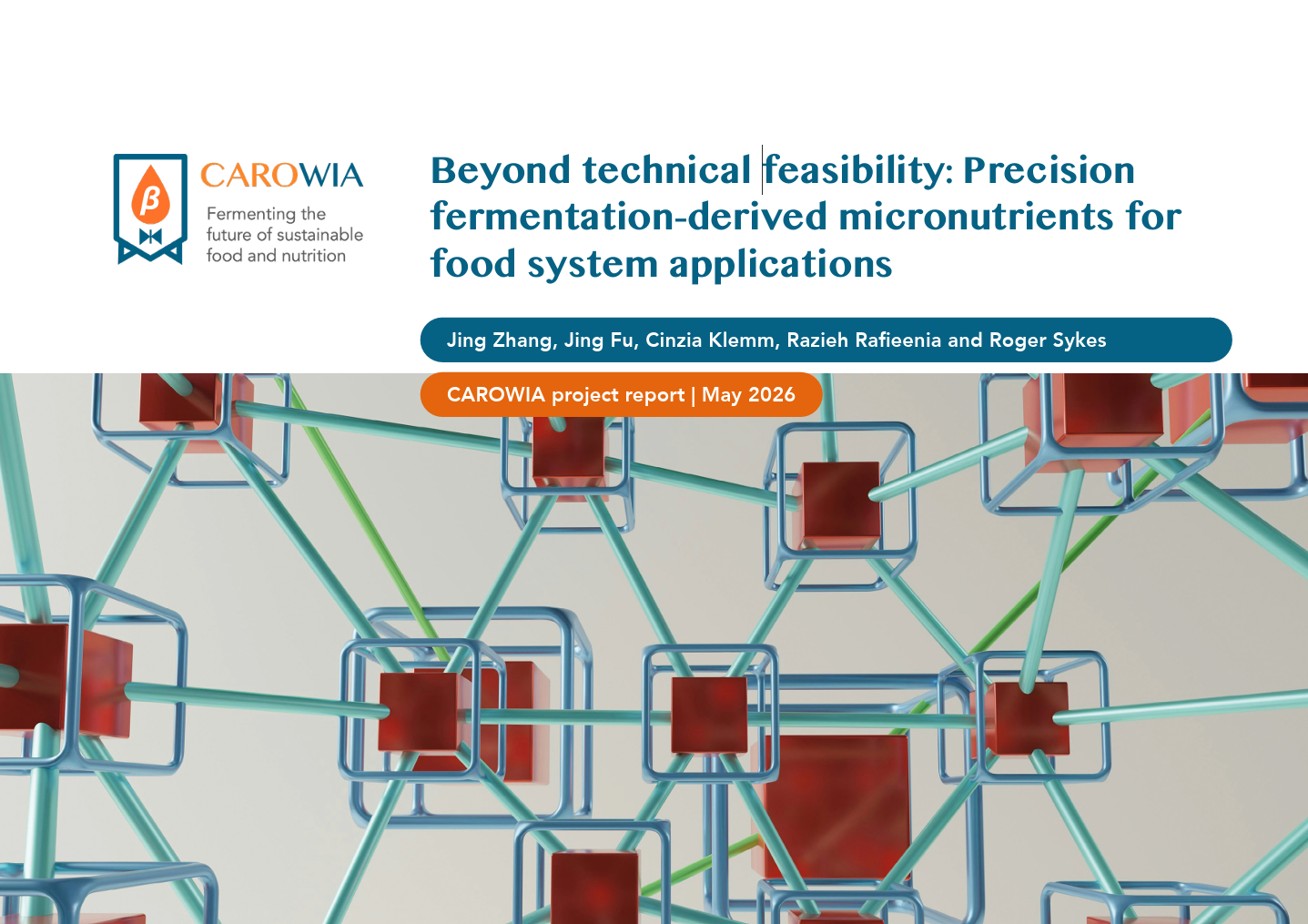 Cover of report showing interlinking squares