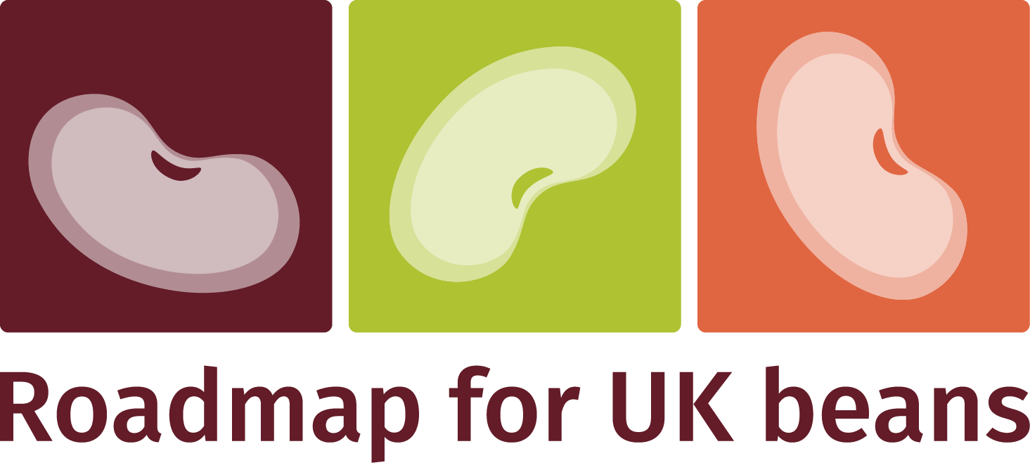 Roadmap logo showing three blocks of colour with kidney type bean shape