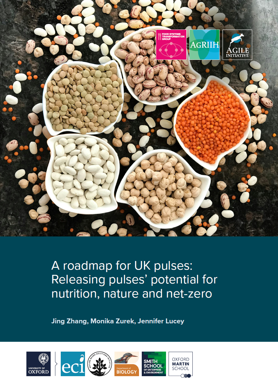 Cover of report showing various beans, pulses and legumes in dishes