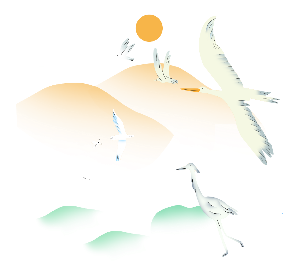 Designed graphic of birds over hills with bright sun