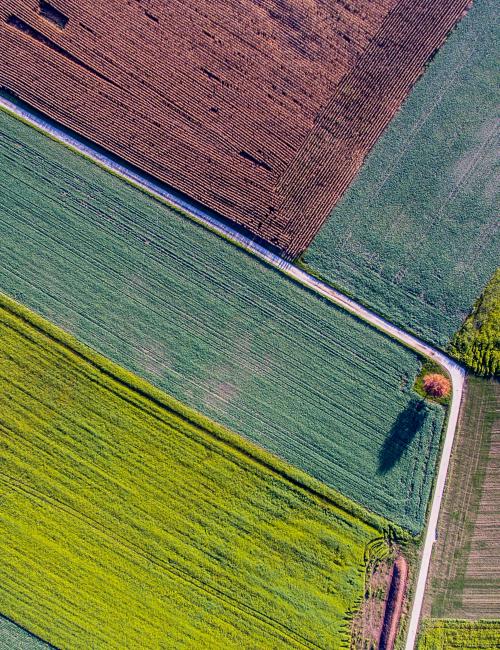 Aerial view of fields