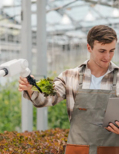 Farmer in greenhouse using his laptop to check the operation of a robotic arm with AI system showing smart agriculture technology at work