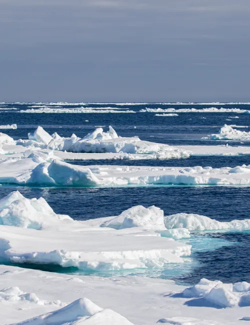 Sea ice in the Arctic north of Svalbard