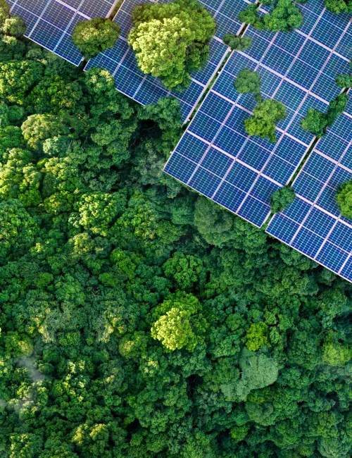 Solar panels installed in the green forest, clean alternative energy concept, sustainable energy.