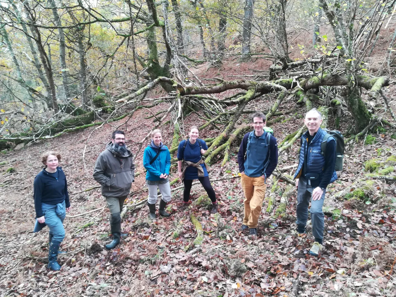 Colleagues from the Environmental Change Institute in Highlands woodland