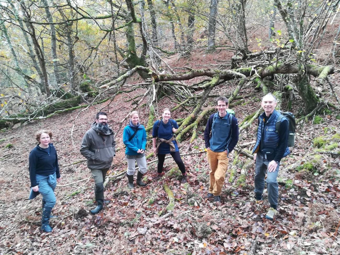 Colleagues from the Environmental Change Institute in Highlands woodland