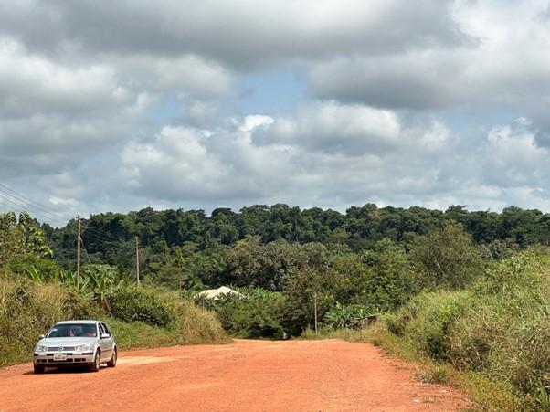 At the entrance to the World’s most productive forests – Study site Bobiri in Ghana during the wet season