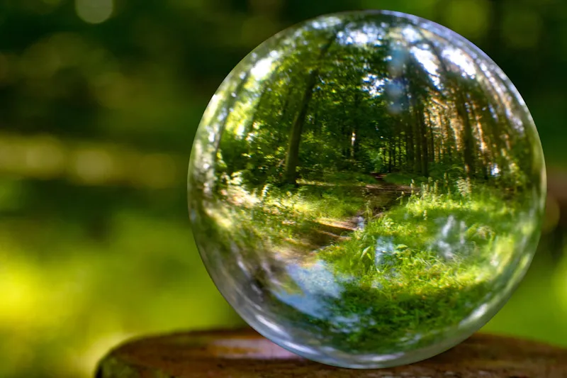 Focus on taking care of nature and the climate shown with nature inside a crystal ball