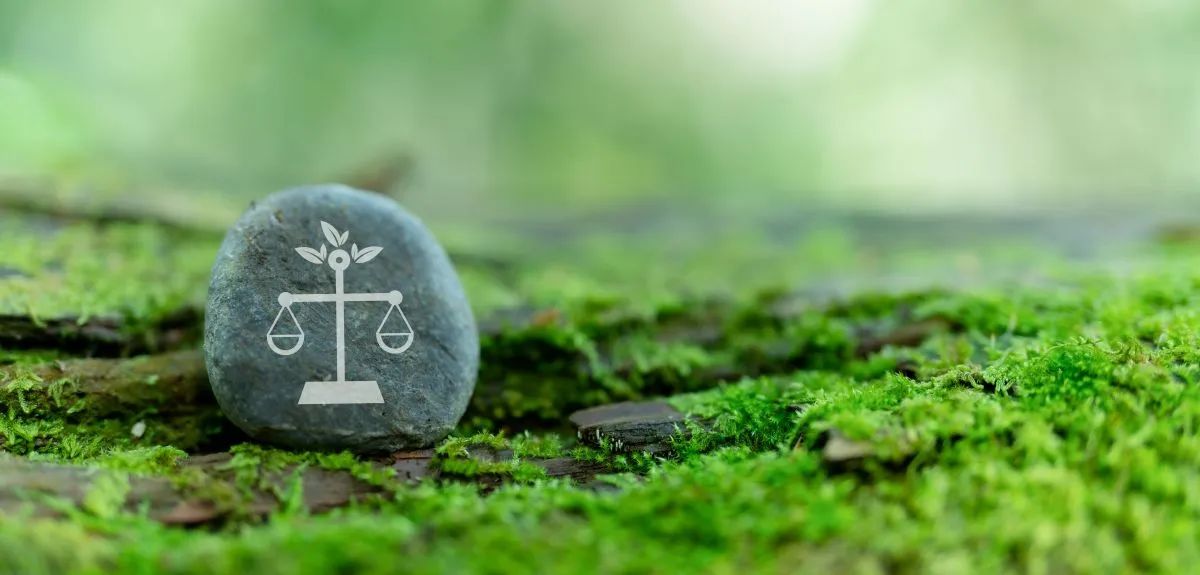 Pebble in moss with image of weighing scales on it