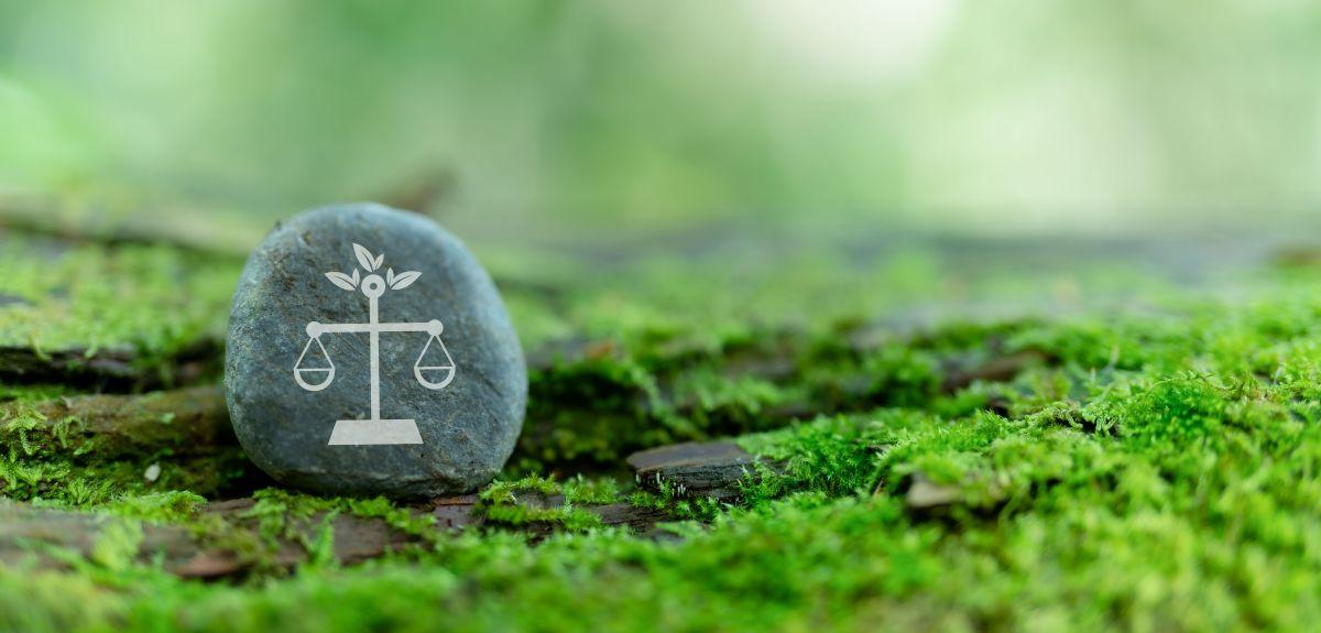 Pebble in moss with image of weighing scales on it