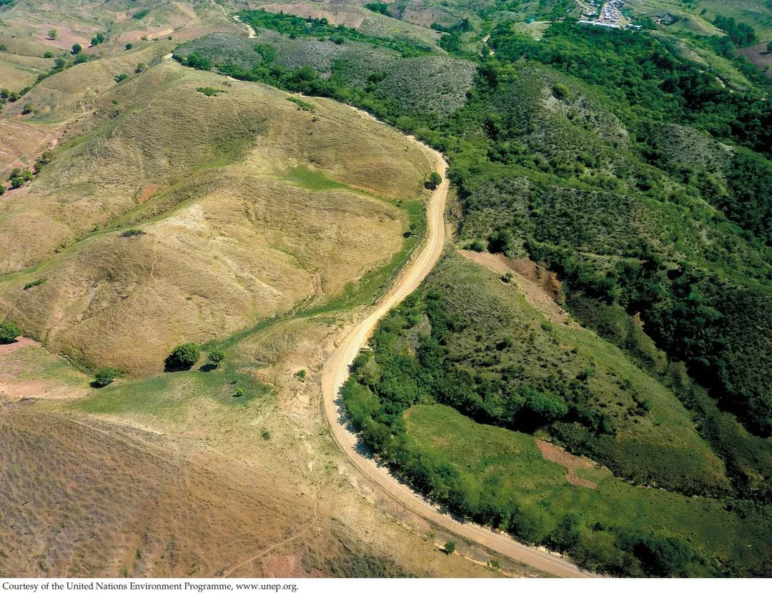 Border between countries with different forest governance approaches.