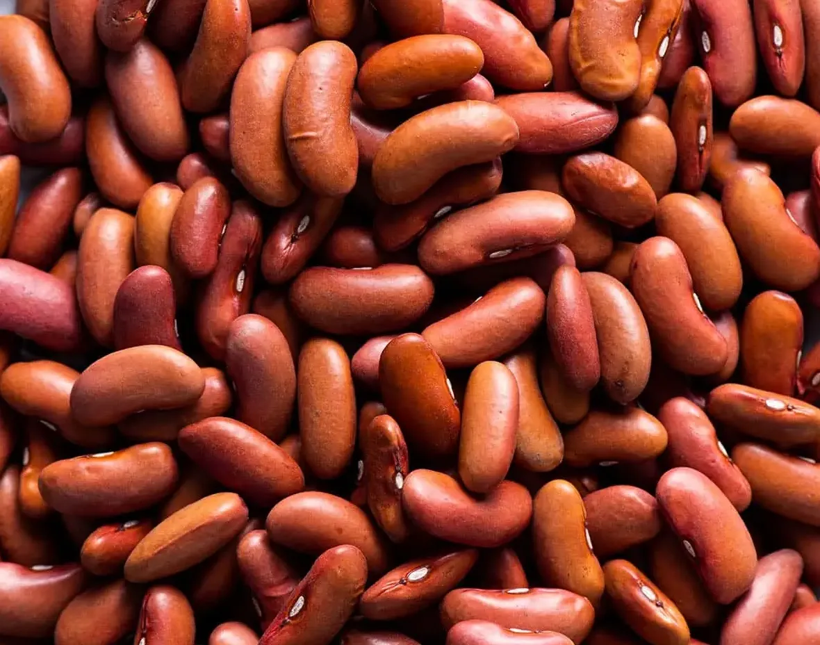 Brown beans in a pile
