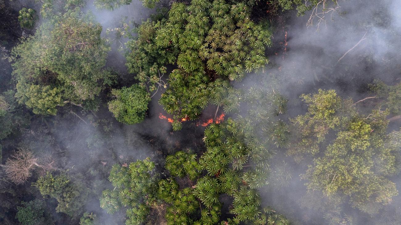 Aerial shot of Amazon showing smoke from fires