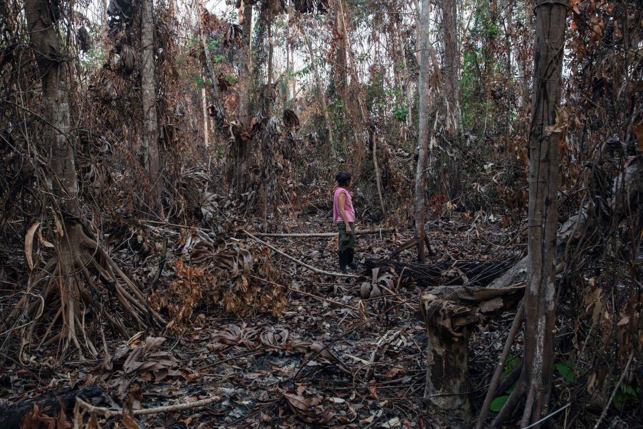 Dr Erika Berenguer surveys the charred remains of a burned area.