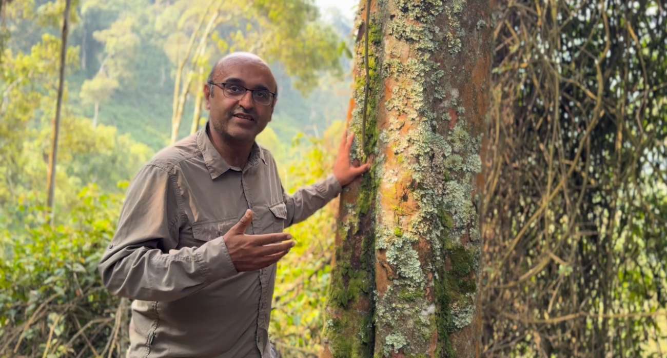 Professor Yadvinder Malhi leaning on a tree