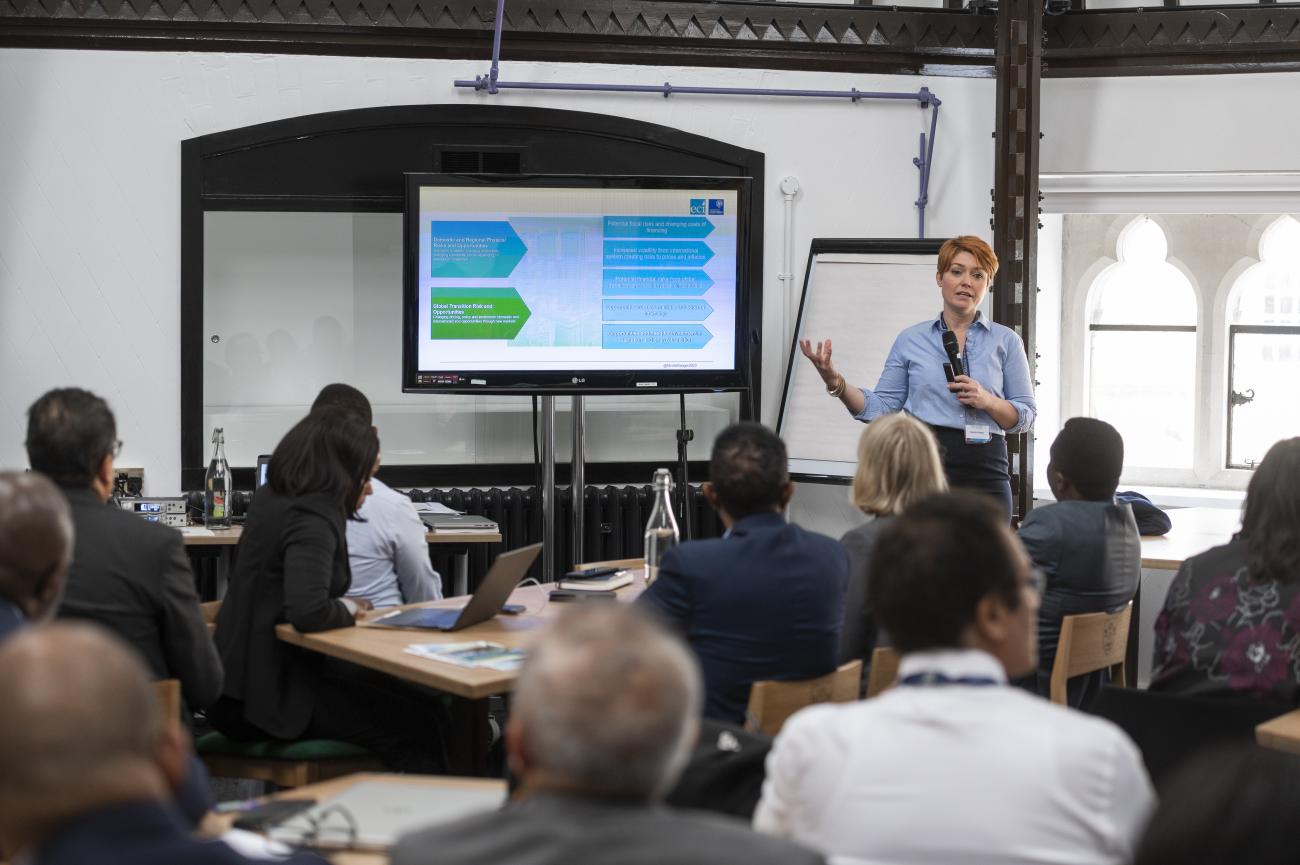 Dr Nicola Ranger gives a presentation to World Bank delegates