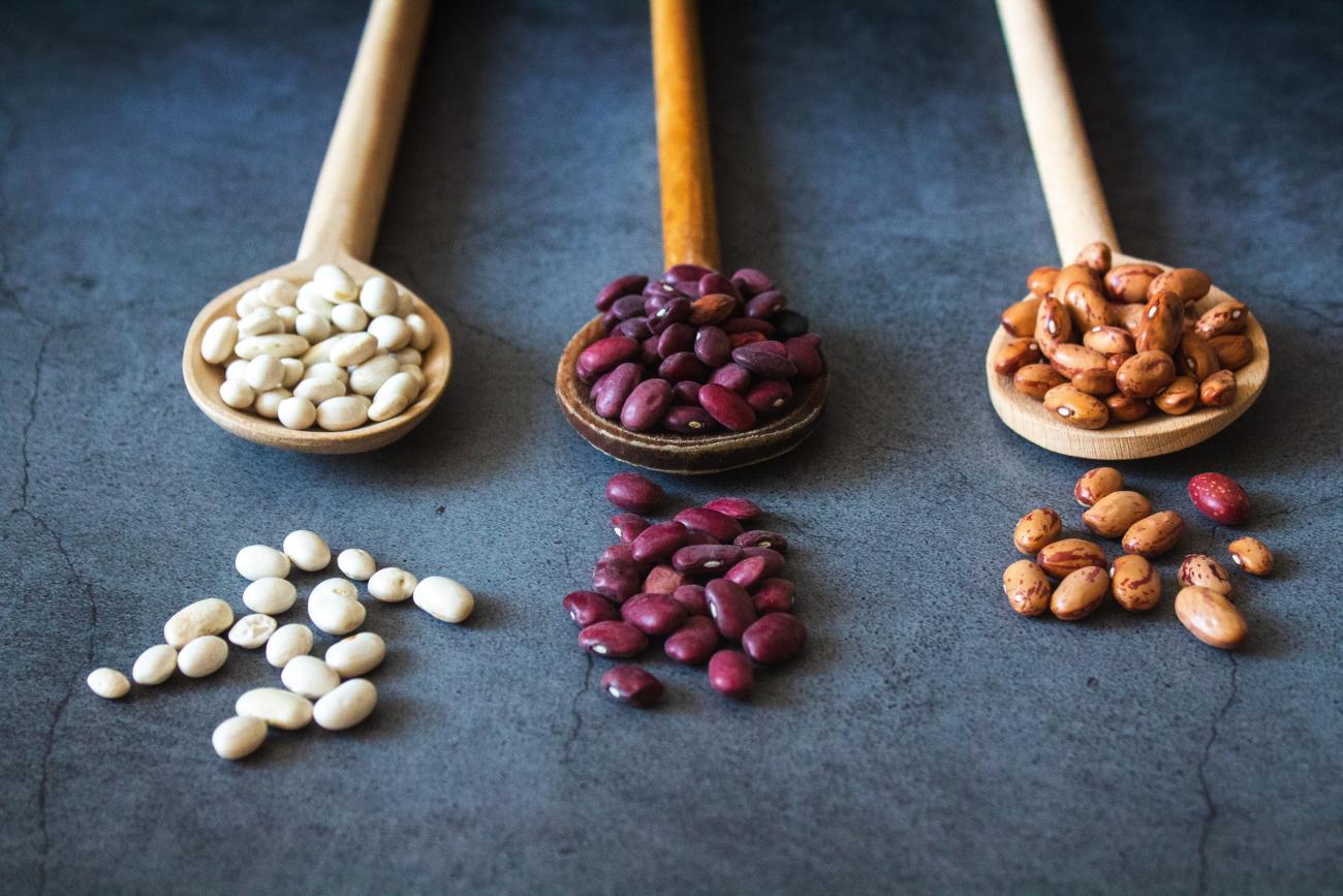 Three wooden spoons with different types of British beans on them