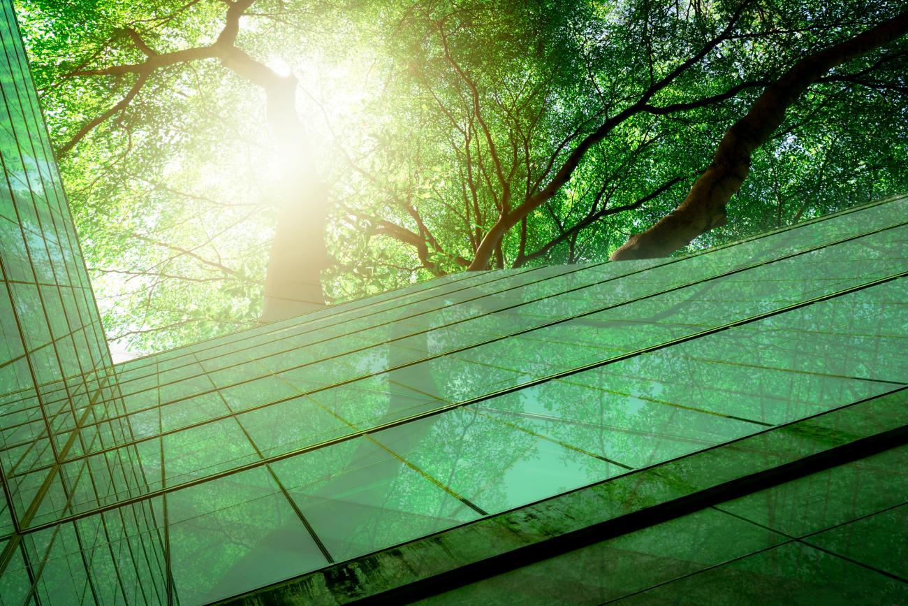 Trees next to glass fronted building