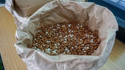 A sack of dried British beans