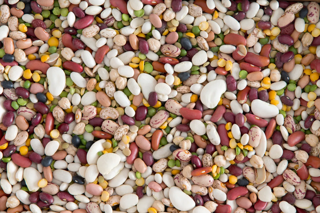 Loose mix of 15 assorted beans and legumes
