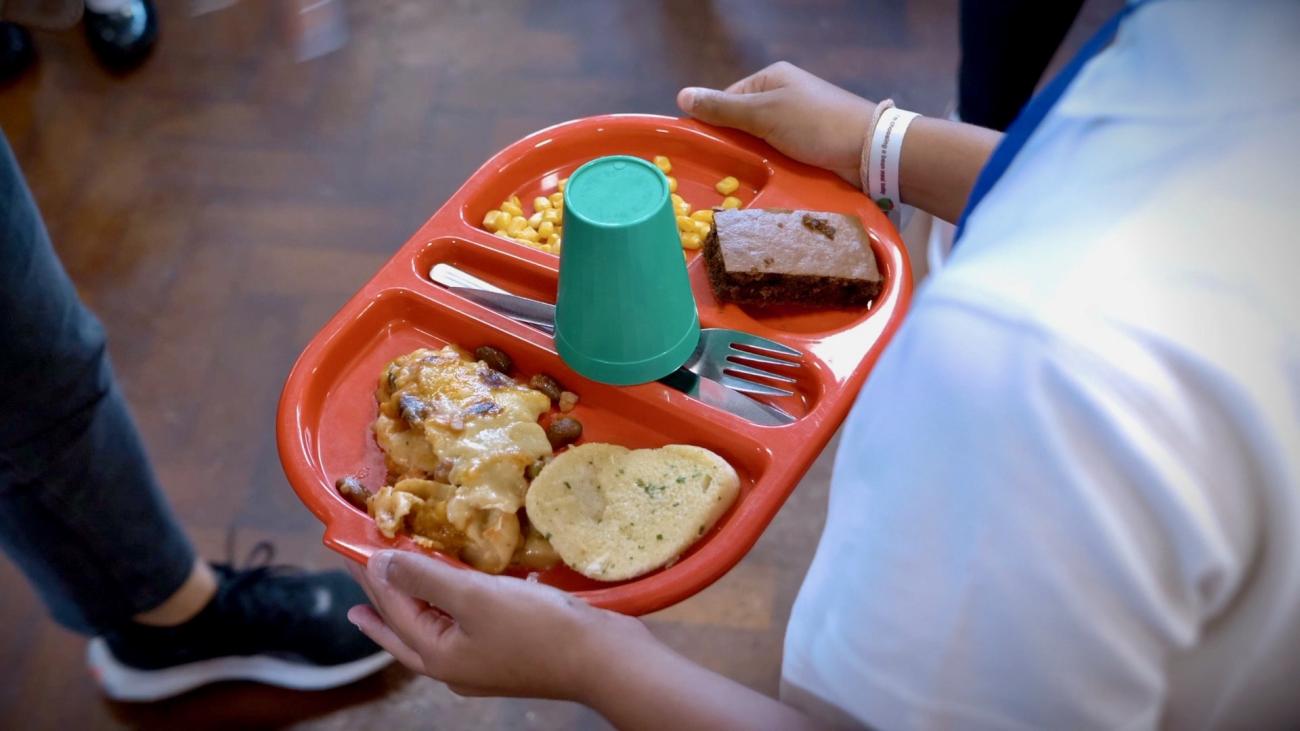 School meal in a tray made from beans