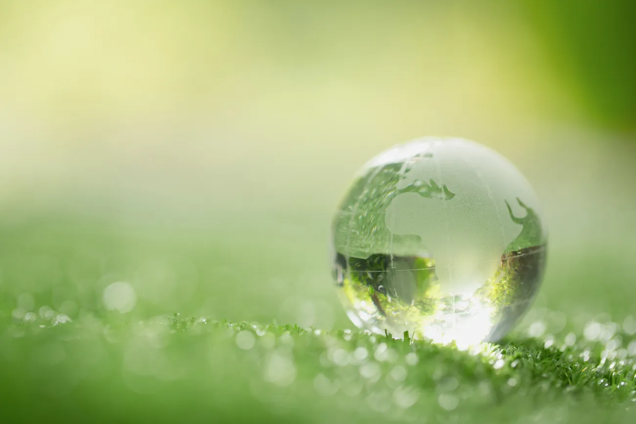 Close up of crystal globe resting on grass in a forest
