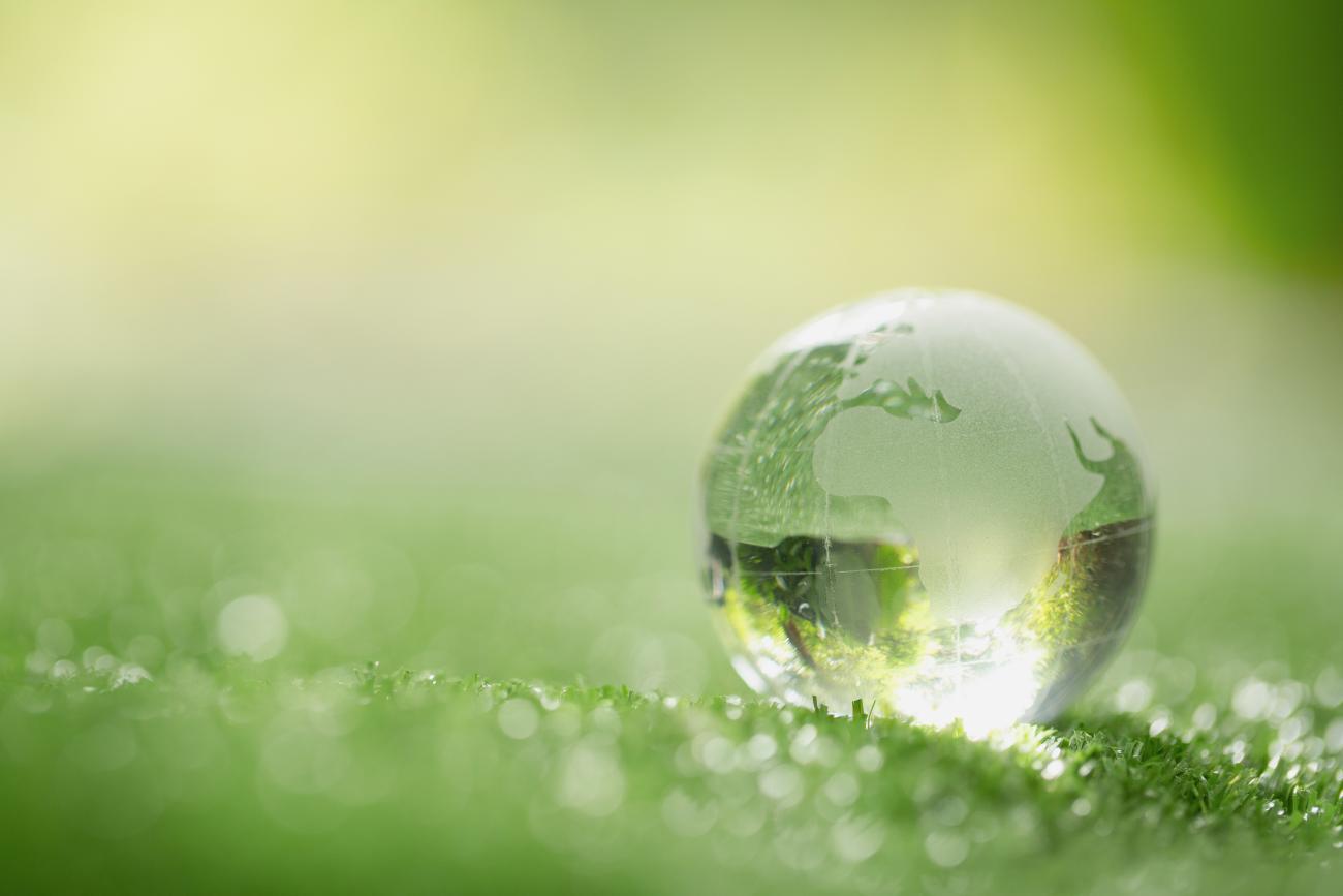 Close up of crystal globe resting on grass in a forest