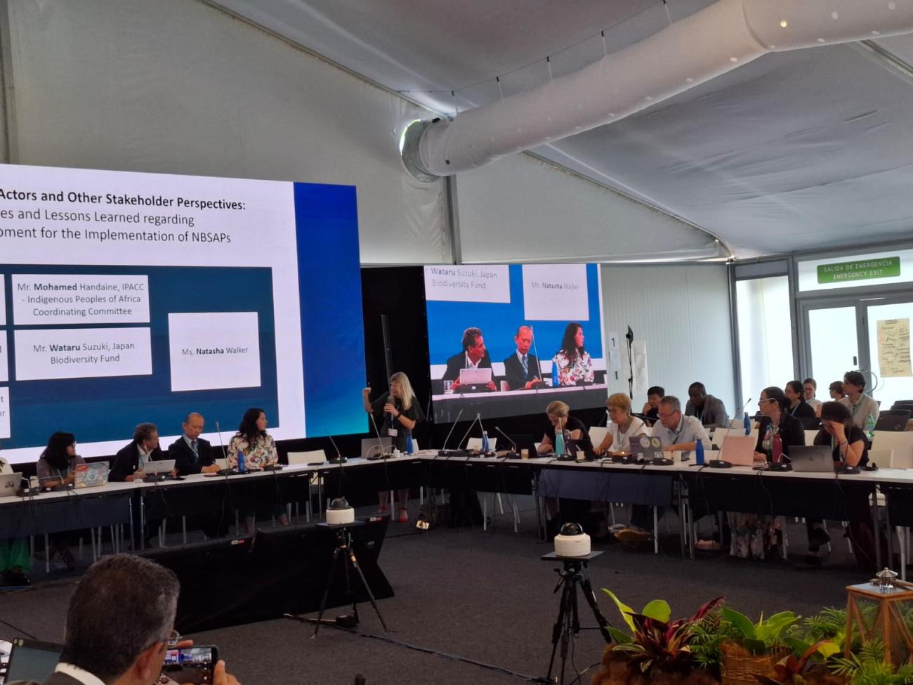 Room of delegates at one of the discussions at COP16
