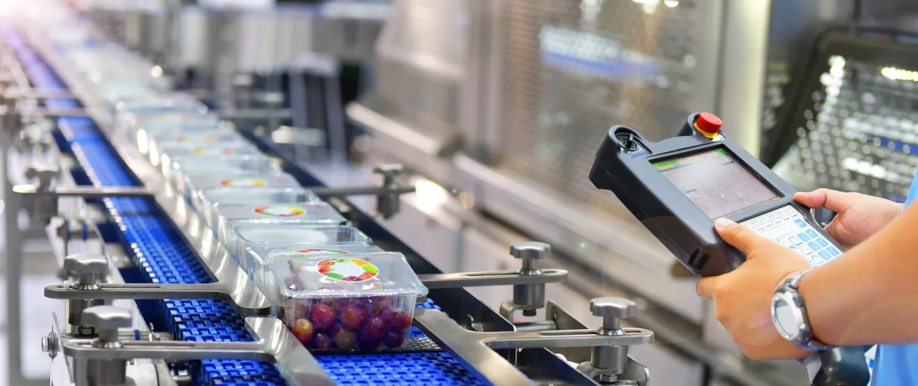 The hands of a factory worker using a device and carrying out check and control for packaged grapes on a conveyor belt
