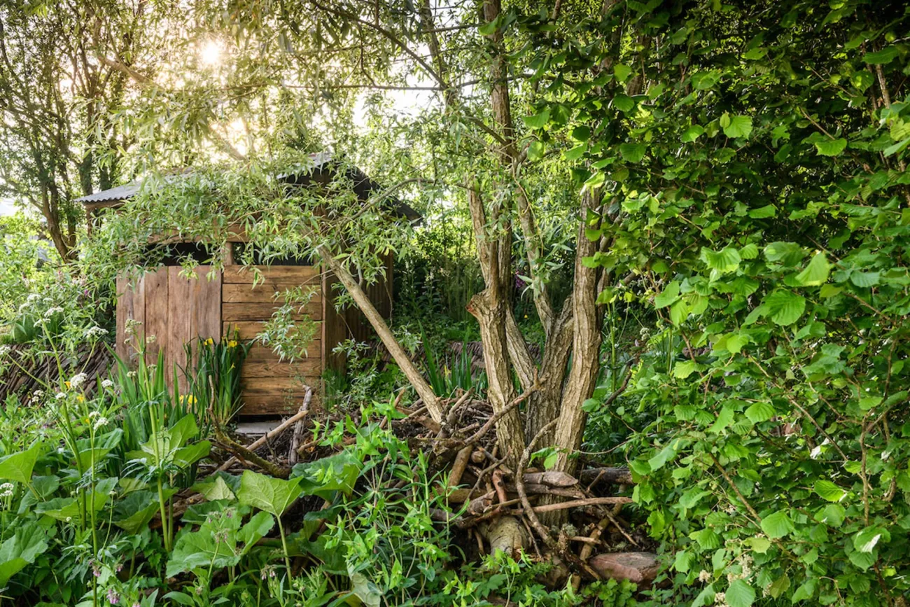 Award winning Chelsea Flower Show garden