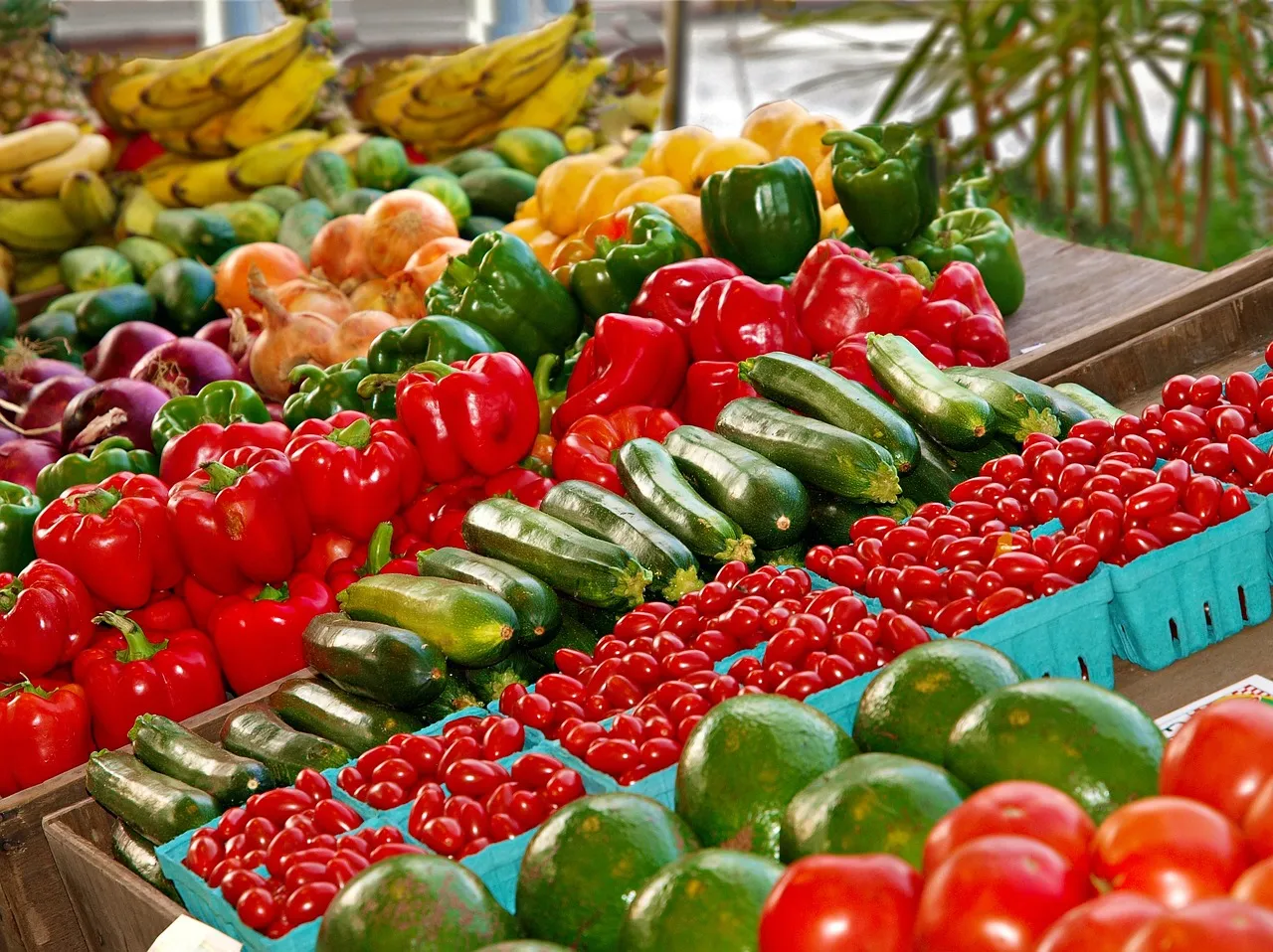 Rows of fresh vegetables on a stall