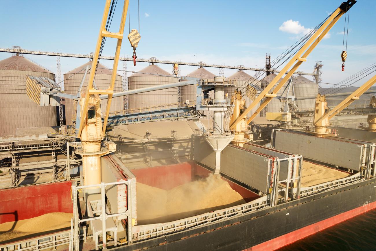 Loading grain into holds of sea cargo vessel through an automatic line in seaport from silos of grain storage. Bunkering of dry cargo ship with grain