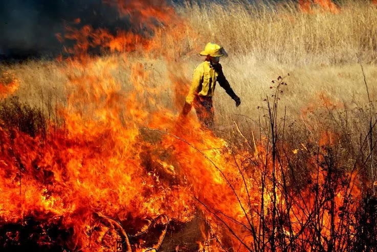 Person in protective clothing carries out veld burning in Africa