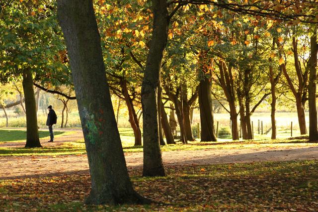 Christchurch Meadow in autumn