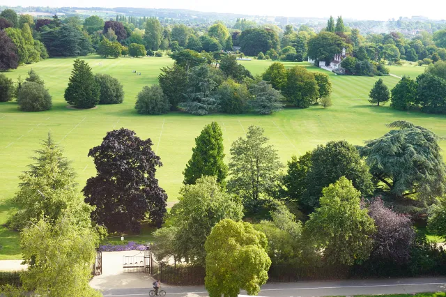 View above University Parks, Oxford