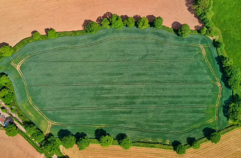 Arial view of green field surrounded by brown fields