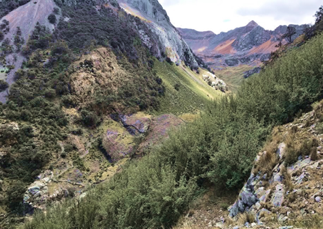 A 15-year-old restoration site at 4000m ASL