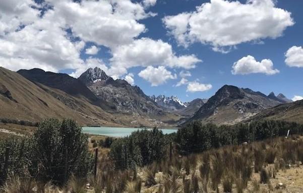 A Polylepis restoration site surrounding an Alpine lake in the Huascarán National Park