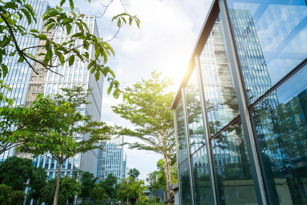Trees and green plants outside glass fronted office building