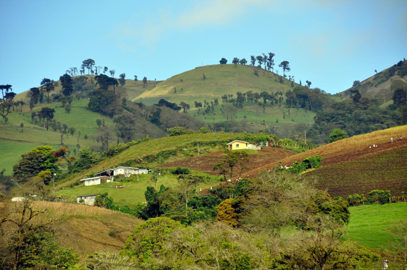 Fields being farmed in Costa Rica