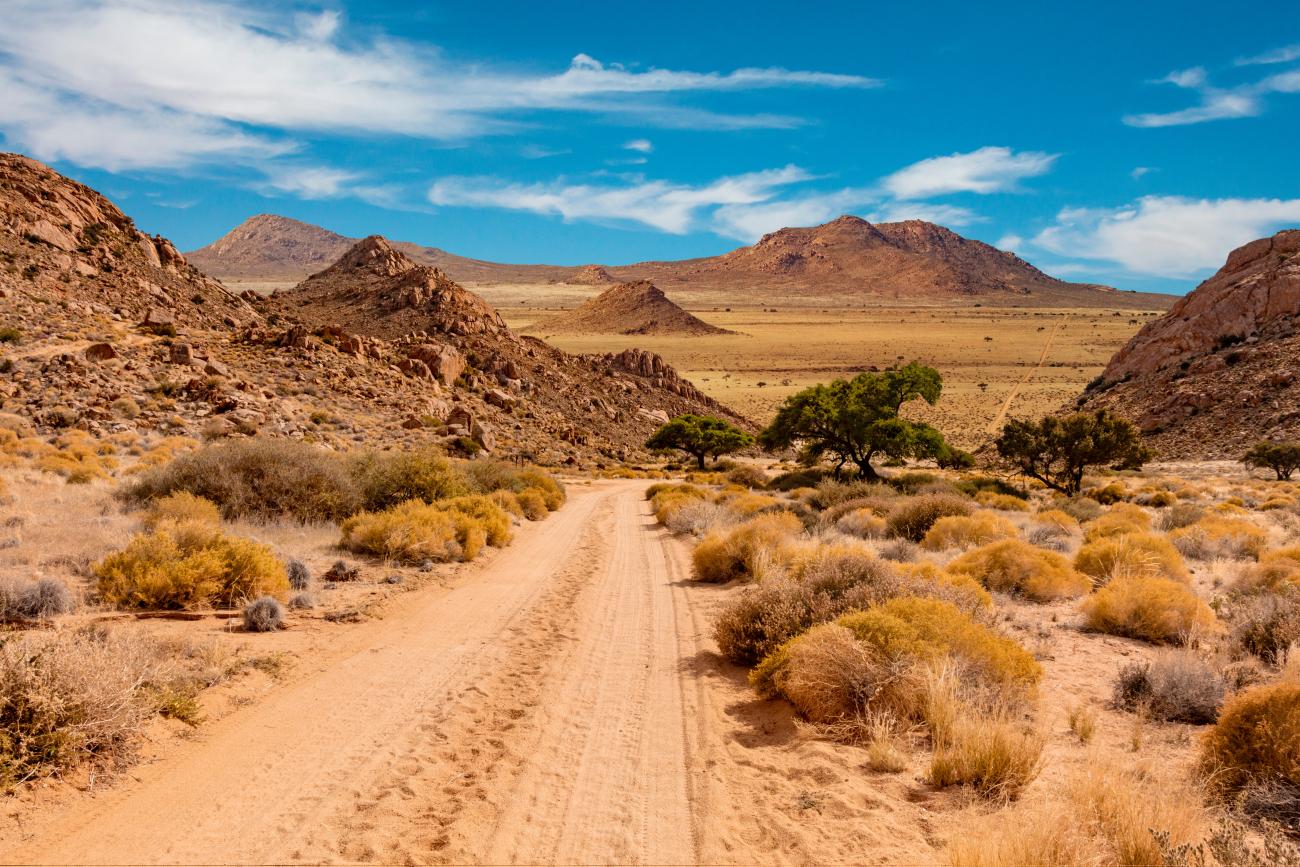 Arid Namibian landscape with rocky terrain, scarce vegetation and mountain backdrop