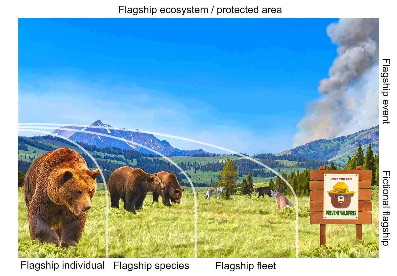 Artwork of a grizzly bear in Greater Yellowstone Ecosystem