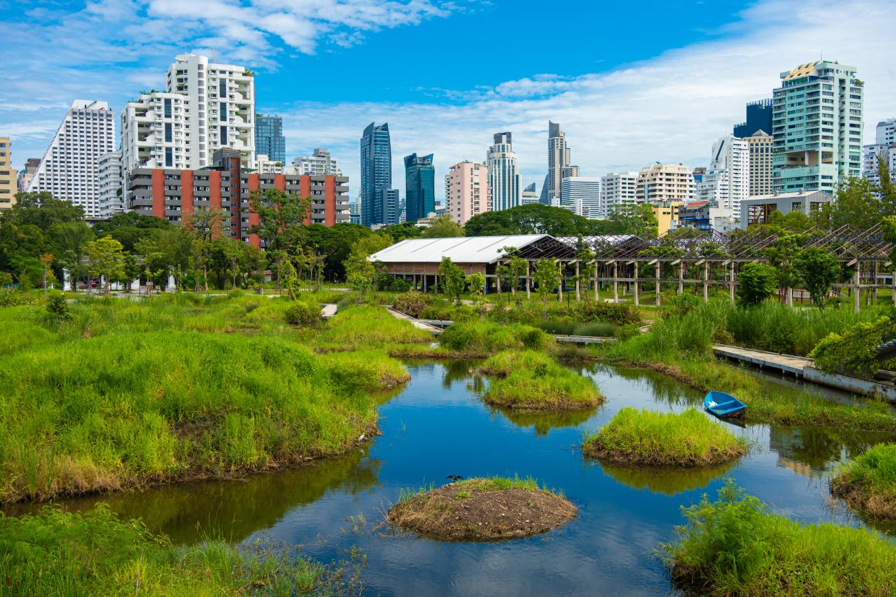 A forest situated next to a city with tall buildings