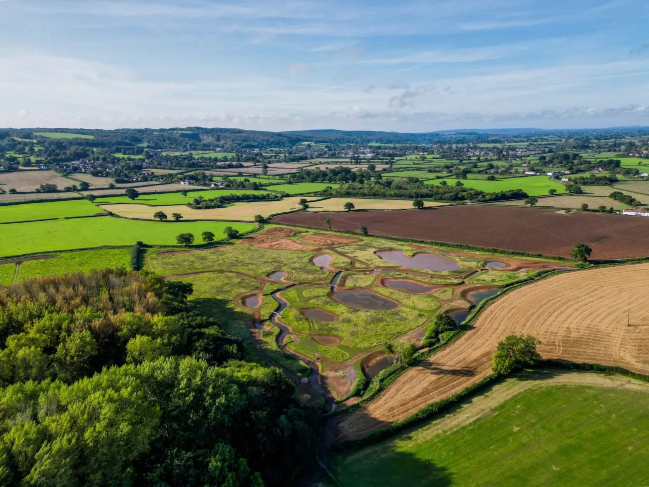 Aerial view of the wetlands among fields