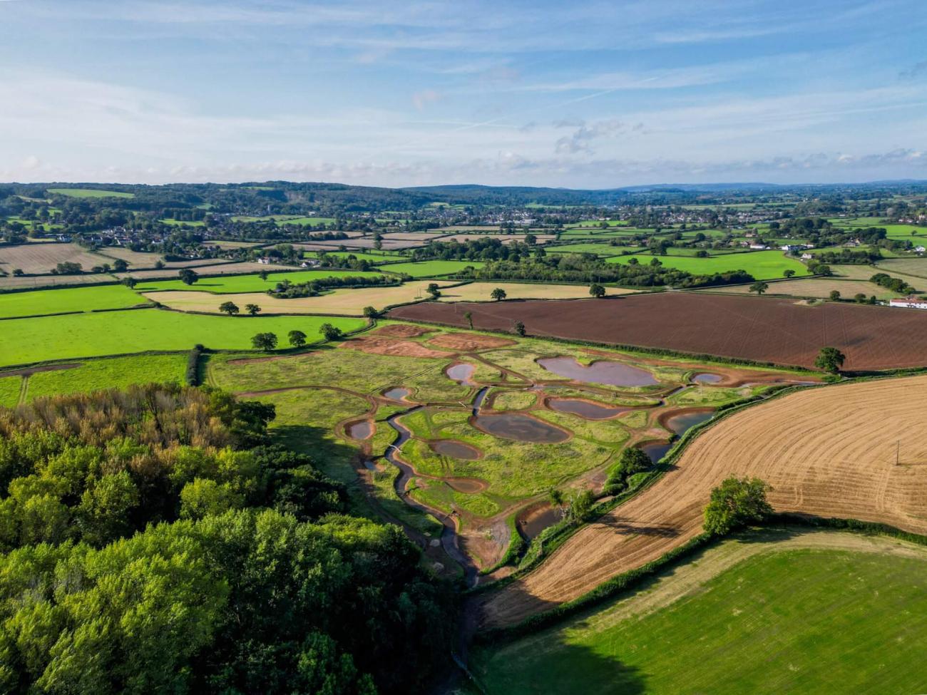 Aerial view of the wetlands among fields
