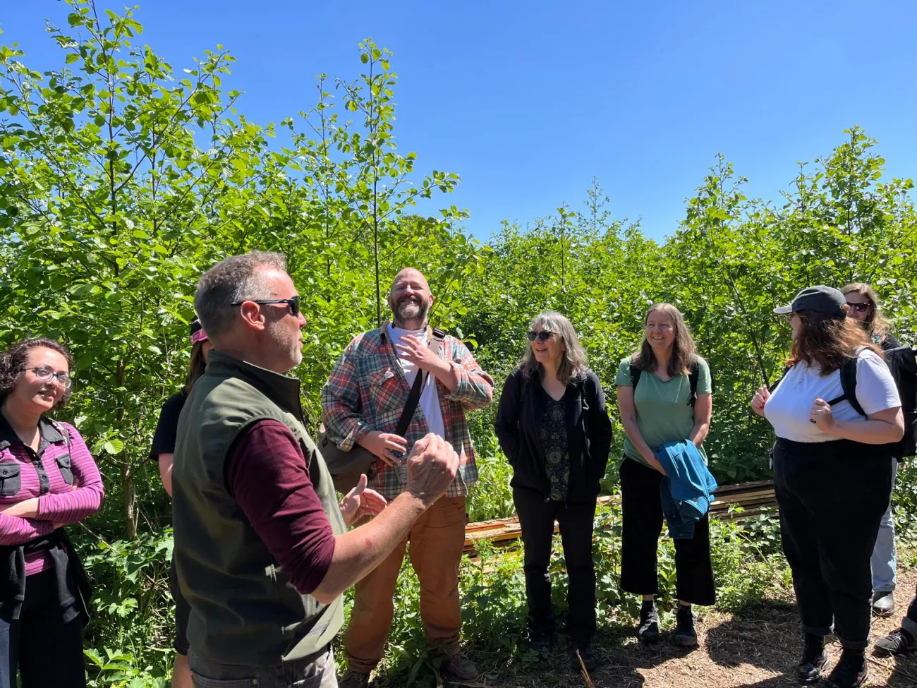 Group of researchers next to alder trees