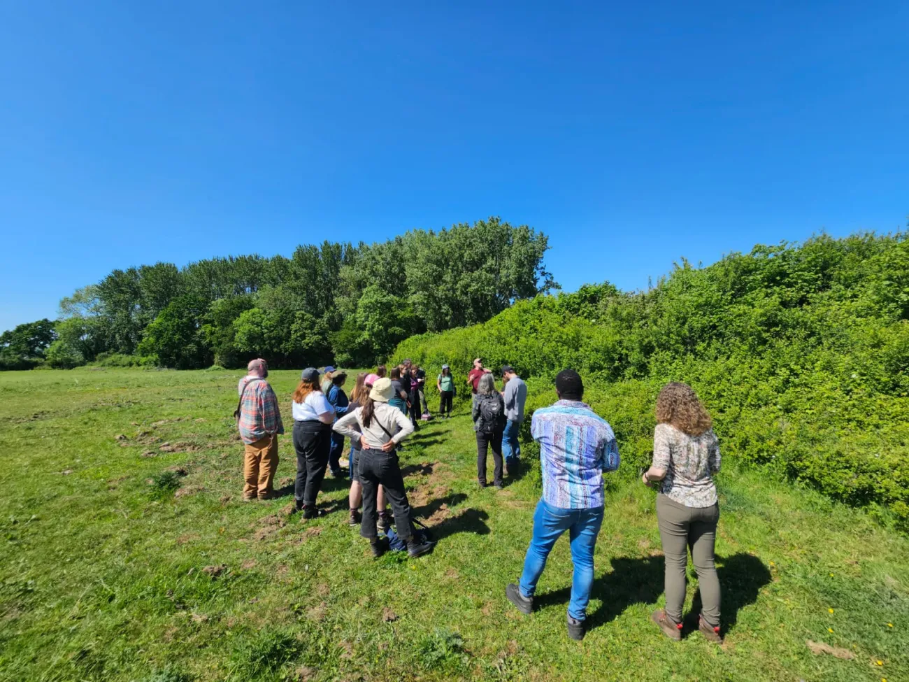 Group of researchers next to a hedgerow