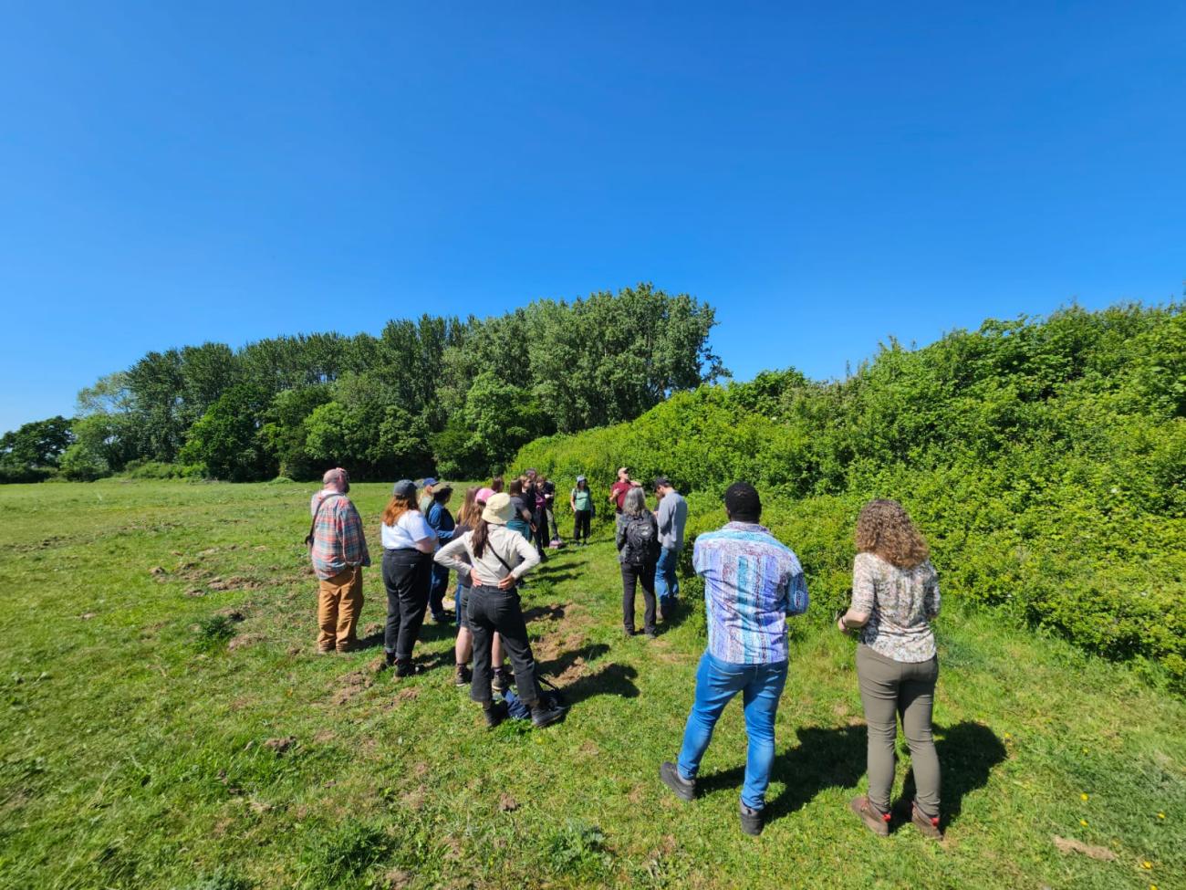Group of researchers next to a hedgerow