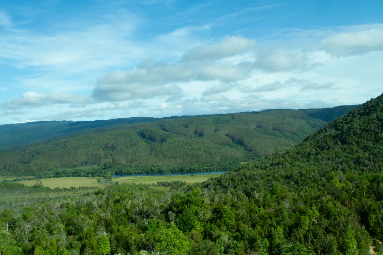 Long range view of Alerce Costero National Park, located in Chaiguín, Los Lagos Region, Chile